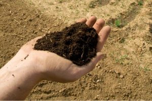 agricultural soil testing Qld